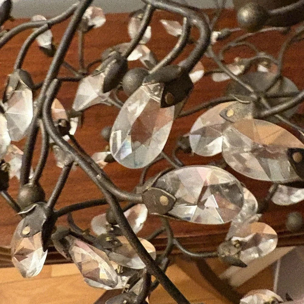 Wrought Iron Acrylic Crystal‎ Chandelier Bronze Wire Branch Crystal Cottage Look